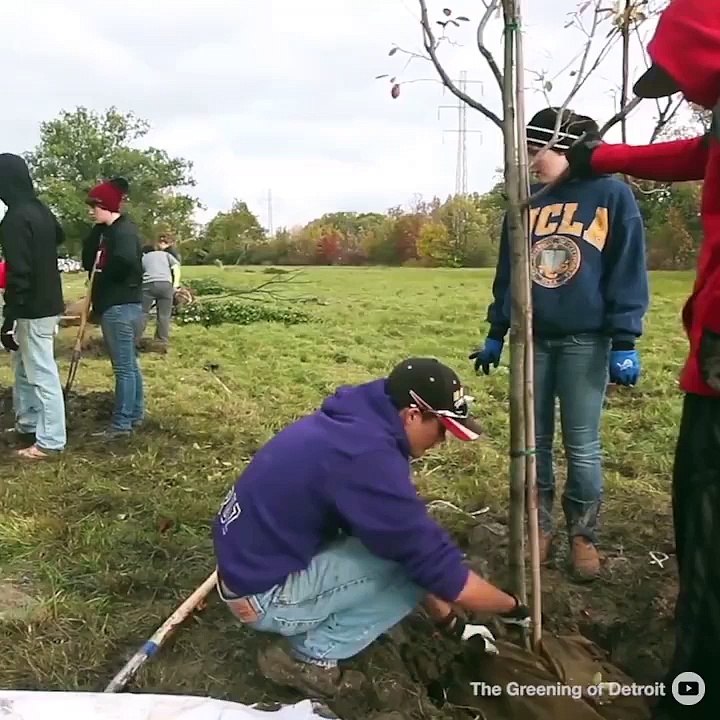 Les jardins partagès de Detroit