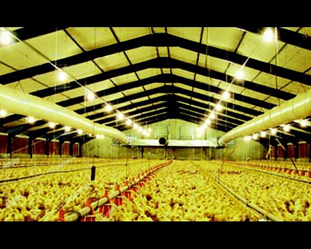 ÇATI POLİÜRETAN YALITIM catipoliuretan.com İletişim 0318 225 14 26 - 0505 825 76 33