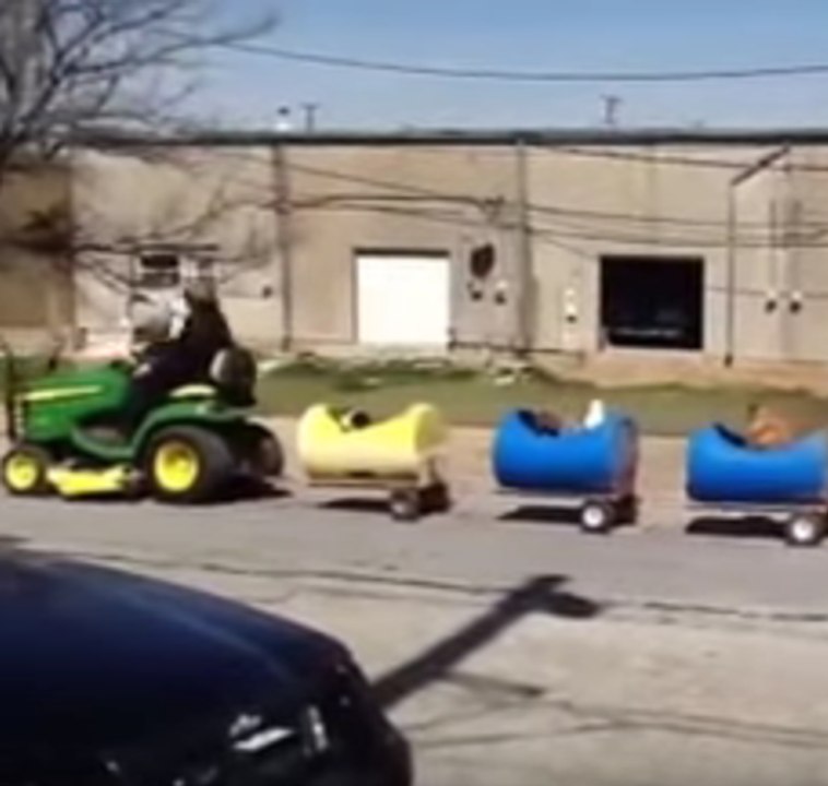 ¡Todos al tren perruno!