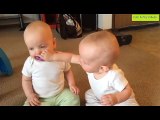 Twin babies cute fight for Pacifier