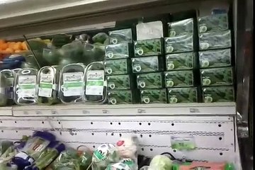 Green Tea helps weight loss, boost energy, bowel movement and skin