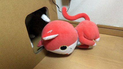 【funny cat ねこ&おもしろ&かわいい&癒し】（とらおうチャン）ジバニャンくんはわしの舎弟♪