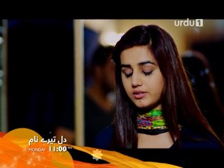 Dil Teray Naam Episode 18 Promo