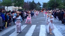 Parade nocturne du Carnaval