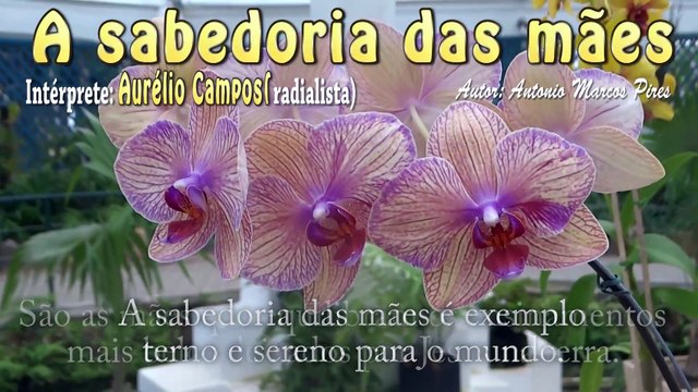 Parabéns a todas mães que brilham com sua explendida não só nesse dia. Em especial a Lucia Maria.