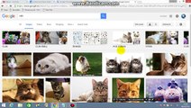 How to can search free commercial use images with different colors on Google Images