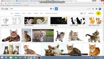 Cómo buscar imágenes libres de uso comercial con diferentes colores en Google