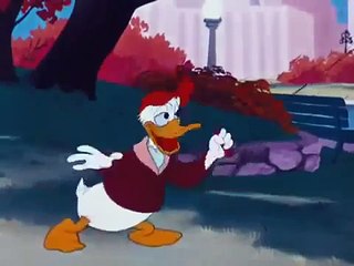 Donald Duck and Chip-Dale Test Pilot Donald