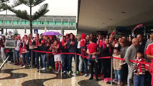 A INCRÍVEL recepção dos adeptos ao Benfica na Madeira!