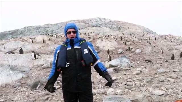 Manchots vs Chanteur d'opéra... Ils ont pas l'air d'apprécier beaucoup