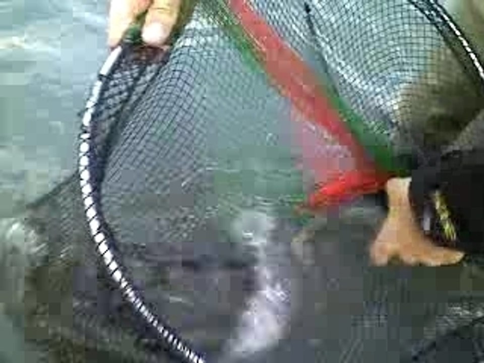 arc 58cm