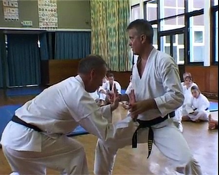Tom Hills Karate Dojo; Goju Kata Bunkai; Seiyunchin; wrestling defense