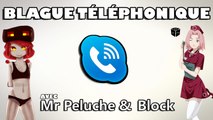 BLAGUE TELEPHONIQUE SKYPE AVEC BLOCK & PELUCHE