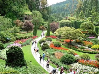 KOY BİZİDE CENNETİNE