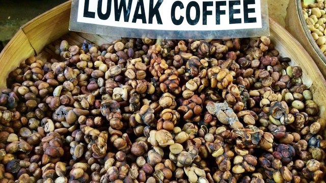 Hem İğrenç Hem De Pahalı 10 Şey