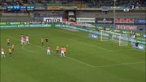 Luca Toni Penalty Goal HD -  Verona 1-0 Juventus - 08-05-2016