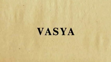 Вася / Vasya (2002) документальный фильм