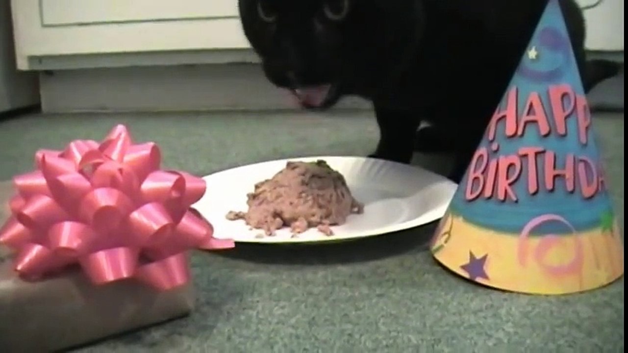 Talking Kitty Cat 9 - Sylvester s Birthday