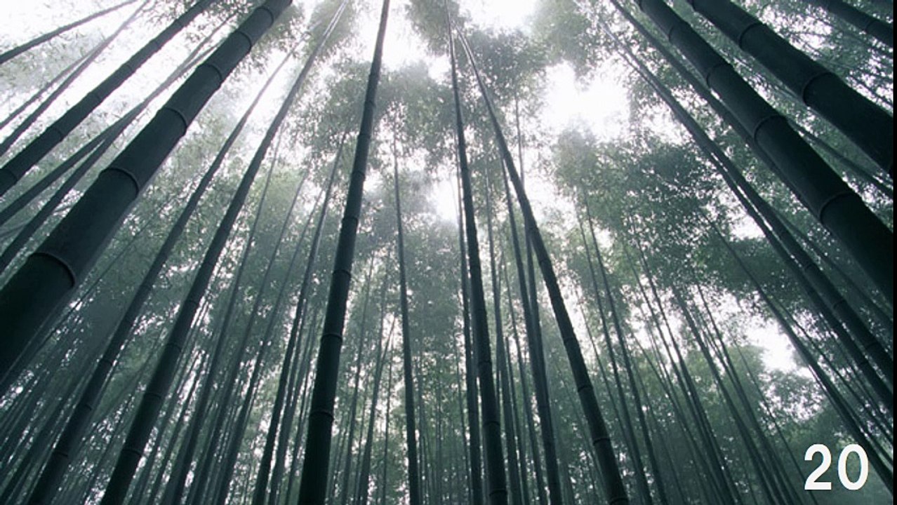 【3H】ポップロック－ピアノ・Pop Rock Music Piano（長時間作業用BGM)