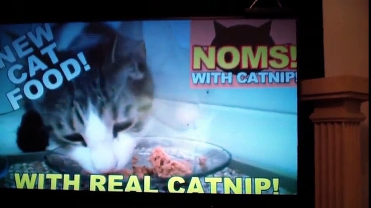 Talking Kitty Cat 25 - A Very Angry Kitty Cat