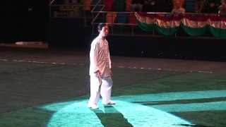 陳正雷 陳式太極拳 2011 香港武術協會 第二屆國際太極邀請賽 名家表演