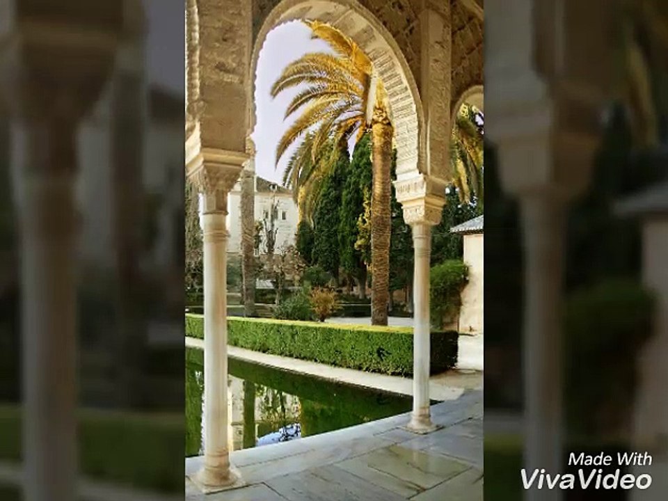 Naat Humko Abi Taiba ke Nazare Dammam