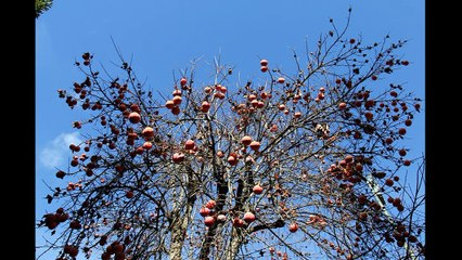Que el tiempo no viva sin ti