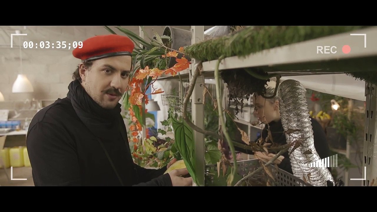 OGM (Ludovik, Kemar, Natoo et Gregory Guillotin ) #humour