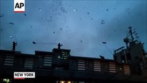 Des pigeons illuminent le ciel de New York avec des ampoules LED