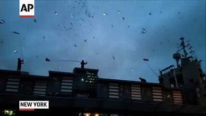 Des pigeons illuminent le ciel de New York avec des ampoules LED