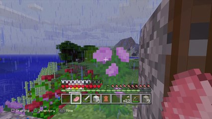 Minecraft: PlayStation®4 Edition_20160508183822