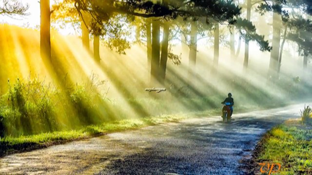 LK Đà Lạt Hoàng Hôn & Thương Về Miền Đất Lạnh _ ( Mỹ Hương ,Vũ Phong Vũ )