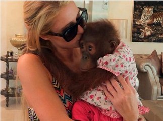 BBC2_The Jeremy Vine Show 4May16 - animal trafficking