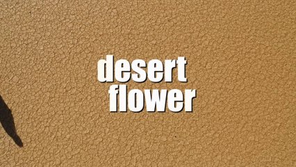 DESERT FLOWER (2010) Trailer - HD