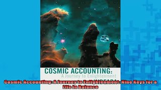 READ book  Cosmic Accounting A Journey to Enlightenment Nine Keys for a Life in Balance  FREE BOOOK ONLINE
