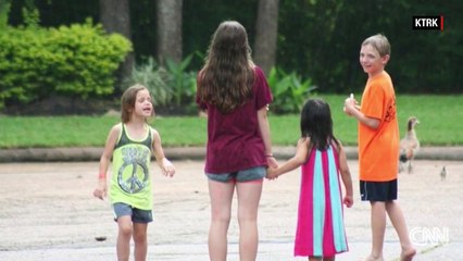 Goose attack on 5-year-old girl goes viral