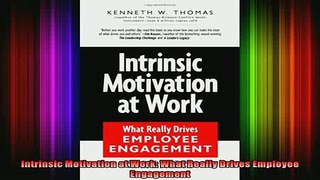 FREE PDF DOWNLOAD   Intrinsic Motivation at Work What Really Drives Employee Engagement READ ONLINE