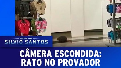 Câmera Escondida: Rato no Provador