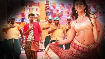 Papparamittai Song with Lyrics _ Velainu Vandhutta Vellaikaaran _ Vishnu Vishal, Nikki Galrani