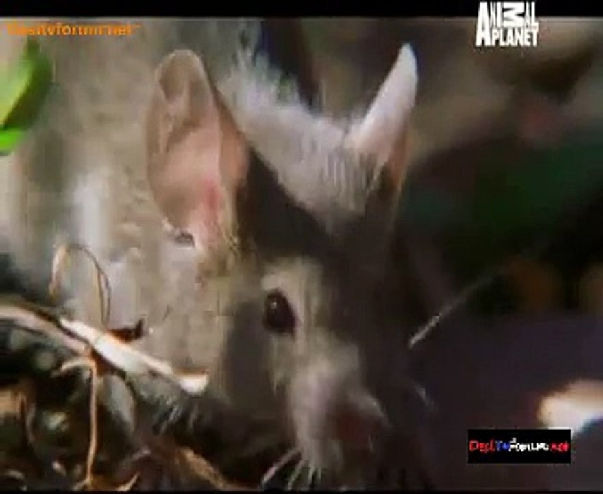 The Wild Ones 4th November 2014 Video Watch Online pt2