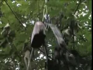 Chasse à l'Arc au Mirador