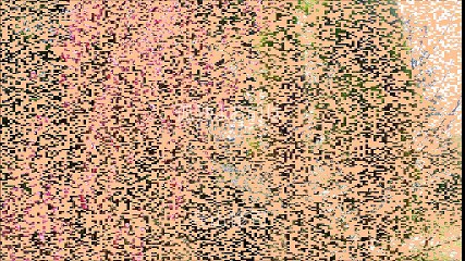 寺山修司の世界「孤独よ　おまえは」「 幸福が遠すぎたら」　内藤洋子 春の野を行けば～野良猫ちびとたまの小さな冒険　20160426