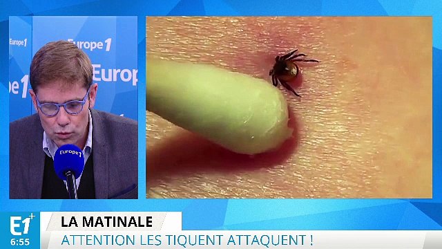 Attention les tiques attaquent !