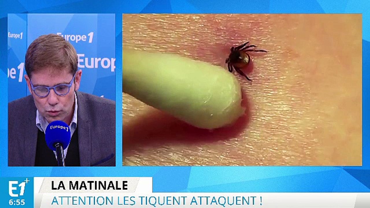 Attention les tiques attaquent !