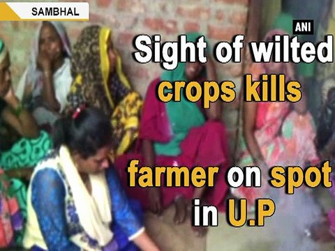 Sight of wilted crops kills farmer on spot in U.P