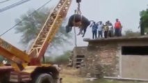 Farmer saved Buffalo by crane from a roof terrace