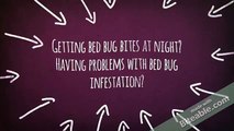 Toronto Bed Bugs Extermination & Heat Treatment Services