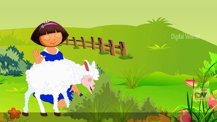 Dora The Explorer - Nursery Rhymes with Lyrics - English Collection Songs for babies and k