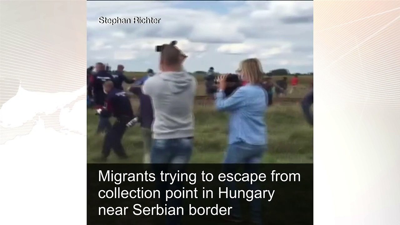 Camerawoman trips up fleeing migrants - BBC News