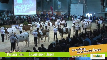 Championne Jeune Montbeliarde Prestige 2016
